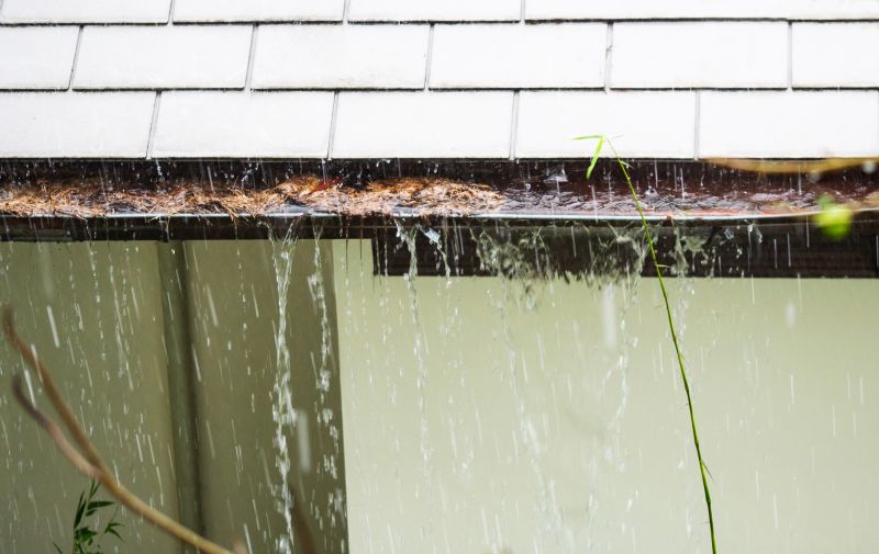 Clogged Residential Gutters