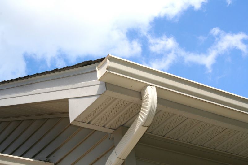 Gutter Downspouts