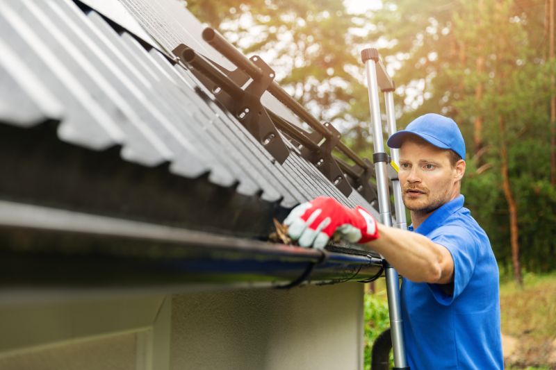 Specialized Gutter Maintenance Companies
